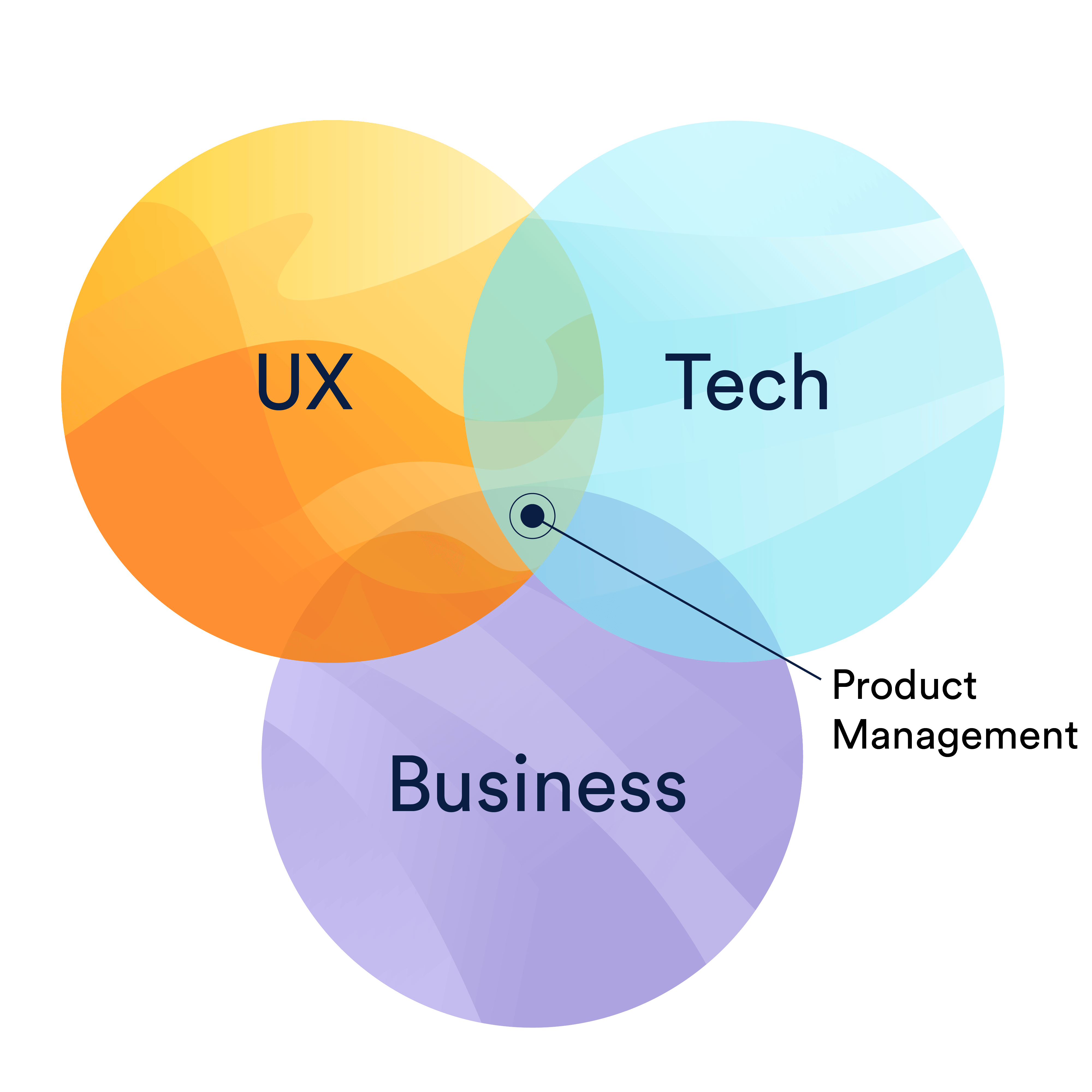 The Best Schools for Product Management: Unlocking Your Path to Success